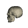 skulltlk.gif (23119 bytes)